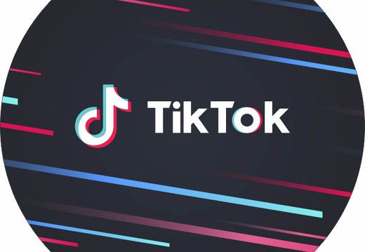 festa roblox｜Pesquisa do TikTok