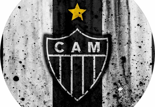 STUMBLE GUYS PNG IMAGE  Imagens de fotos, Wallpaper palmeiras, Fotos